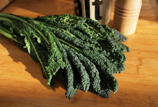 The Benefits of Eating Kale Everyday