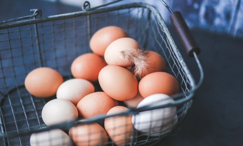 Eggs Can Help Burn Belly Fat